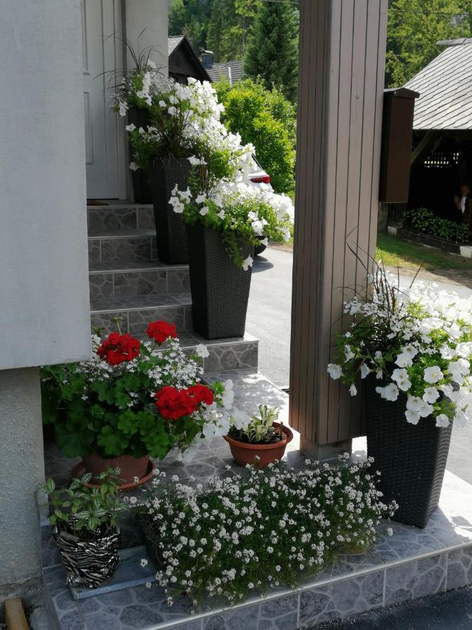 Apartma Simona 보히니 외부 사진